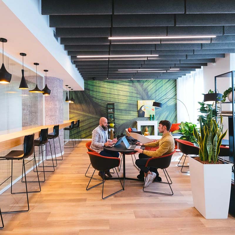 Sundesk - Biot